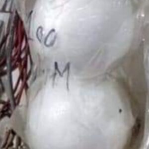 100MM CHOCOLATE FOAM BALL PACK OF 2PCS