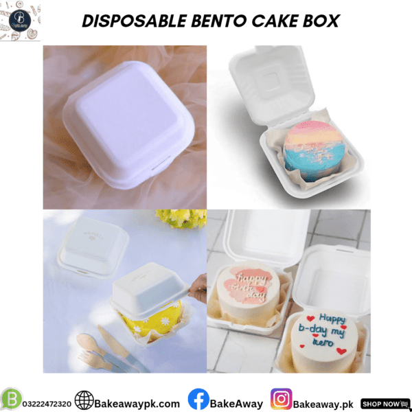 DISPOSABLE BENTO CAKE BOX PACK OF 10PCS only for karachi