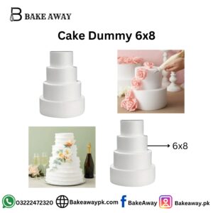 Cake Dummy 6x8