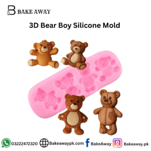 3D Bear Boy Silicone Mold