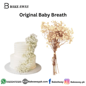 Original Baby Breath