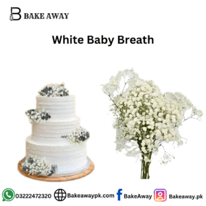 White Baby Breath