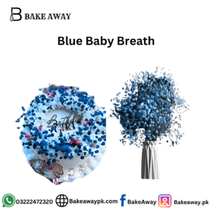 Blue Baby Breath