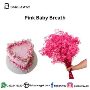 Pink Baby Breath