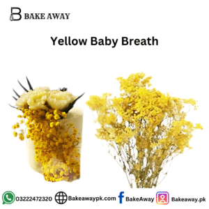 Yellow Baby Breath