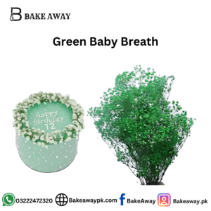 Green Baby Breath