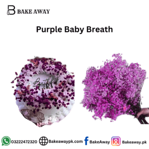 Purple Baby Breath