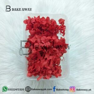 Red Hydrangea flower Box