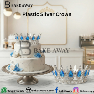Plastic Silver Crown