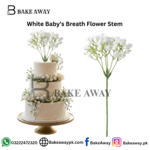 White Baby's Breath Flower Stem